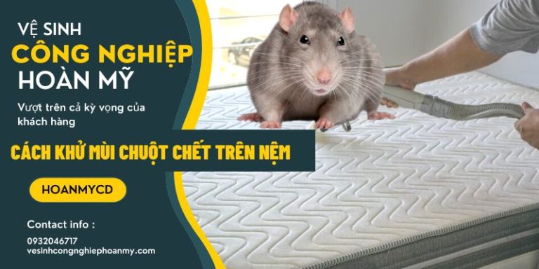 cách khử mùi chuột chết trên nệm