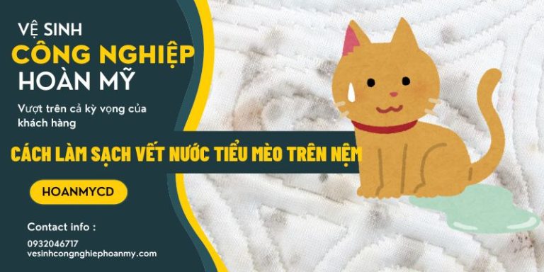 Cách làm sạch vết nước tiểu mèo trên nệm