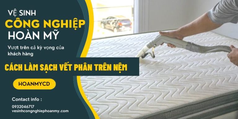 Cách làm sạch vết phân cứt trên nệm