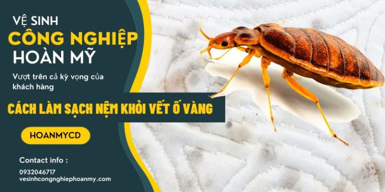 diệt rệp trên nệm