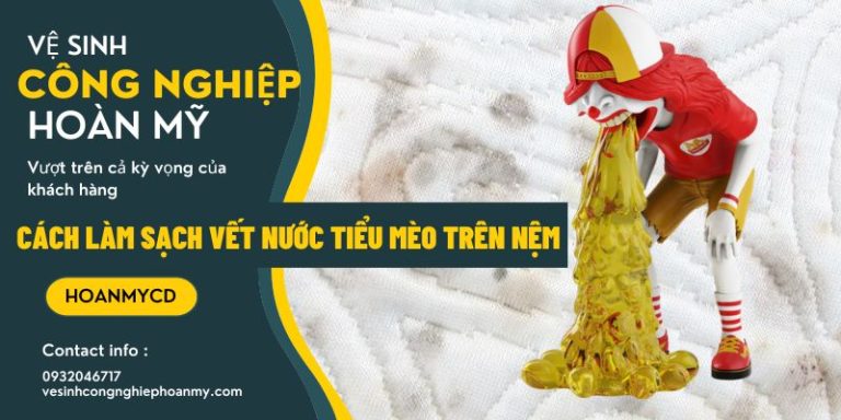 làm sạch vết nôn mửa trên nệm