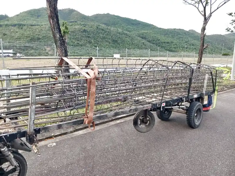 Cho thuê xe bò chở hàng